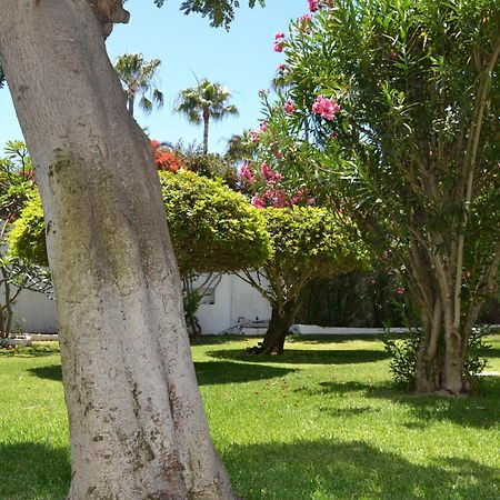 פלאייה דל אינגלז Apartamentos Don Quijote מראה חיצוני תמונה