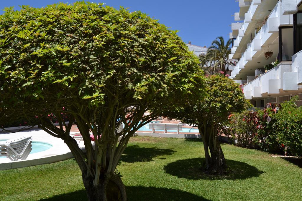 פלאייה דל אינגלז Apartamentos Don Quijote מראה חיצוני תמונה